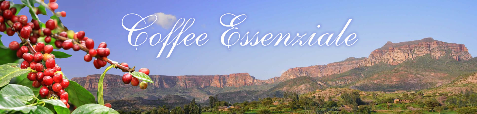  Coffee Essenziale